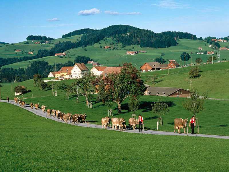 Appenzell Switzerland